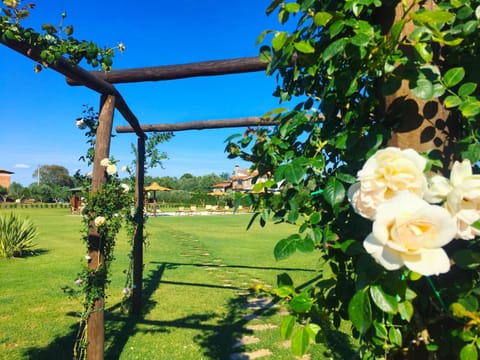 Garden, Swimming pool