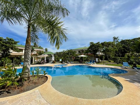 Garden view, Pool view, Swimming pool, sunbed