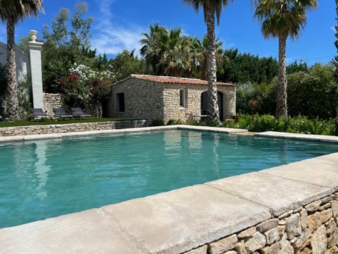 Garden, Pool view, Swimming pool