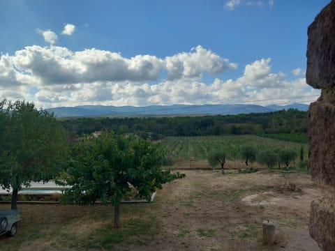 Le calme au milieu des vignes Apartment in Vidauban