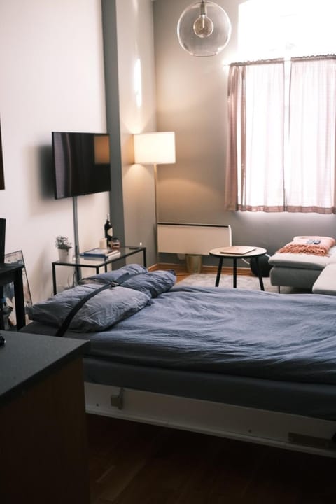 Studio apartment Appartamento in Oslo