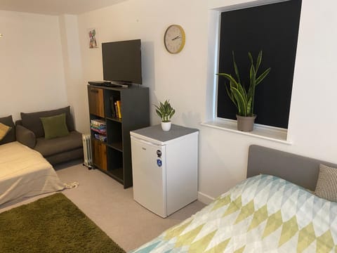 Very Large Double Room with Corner Sofa, Sky TV, Netflix etc, Fridge and Microwave Bed and Breakfast in Lewes District