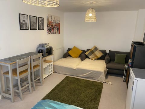 Very Large Double Room with Corner Sofa, Sky TV, Netflix etc, Fridge and Microwave Bed and Breakfast in Lewes District