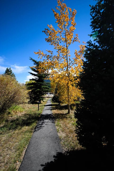 Tennis Townhomes 1323 by SummitCove Lodging Apartment in Keystone