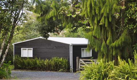 Lakeside Cottage with Jetty at Lake Tarawera Maison in Rotorua