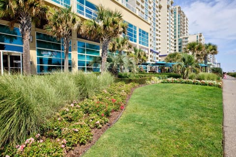 Hilton Garden Inn Virginia Beach Oceanfront Hotel in Virginia Beach