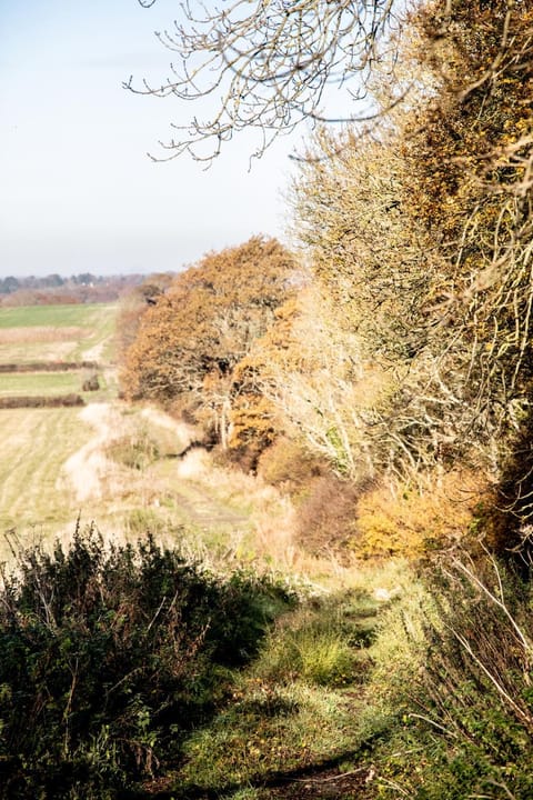 Foot of the Downs Shepherds Hut Campground/ 
RV Resort in Mid Sussex District