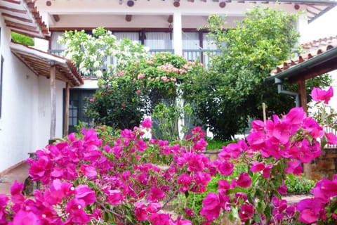 Summer, Balcony/Terrace, On site