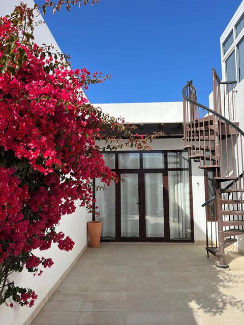 Garden, Balcony/Terrace