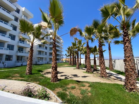 Property building, Natural landscape, Garden