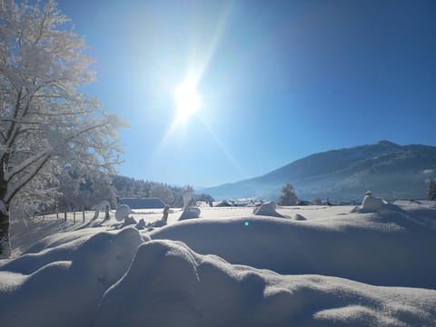 Natural landscape, Winter, Area and facilities