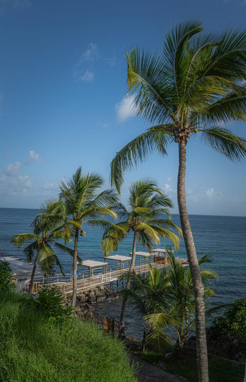 Nearby landmark, Natural landscape, Garden, Beach, Sea view