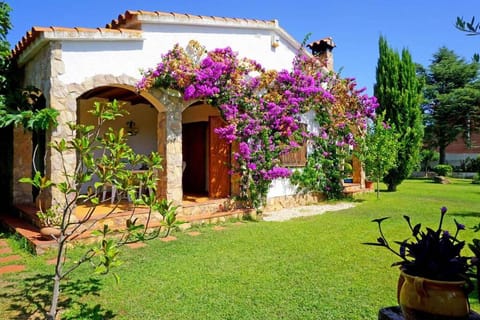 Garden, Garden view