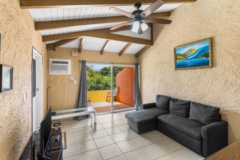 Caribbean View for You condo Condominio in St. Croix
