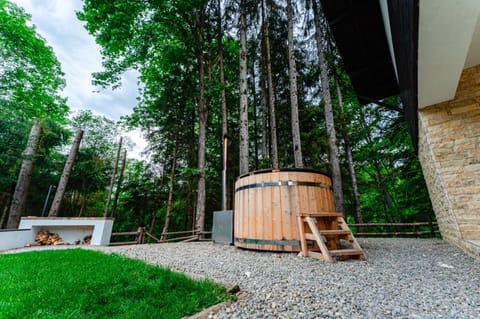 Cabana Haiducului House in Prahova, Romania