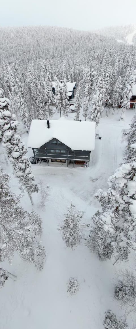 Levinhuippu Villa in Lapland