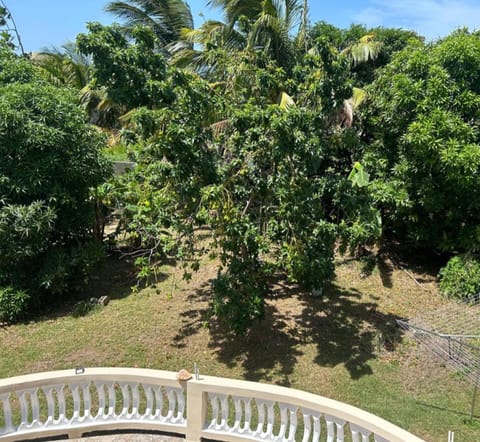 Tropical Paradise Sea View Villa in Ocho Rios House in St. Ann Parish