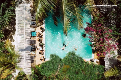 Bird's eye view, Pool view, Swimming pool