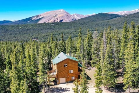 Spacious Mountain Home with Hot Tub, Fast WiFi, 26 miles to Breckenridge - Pine Top Perch House in Park County