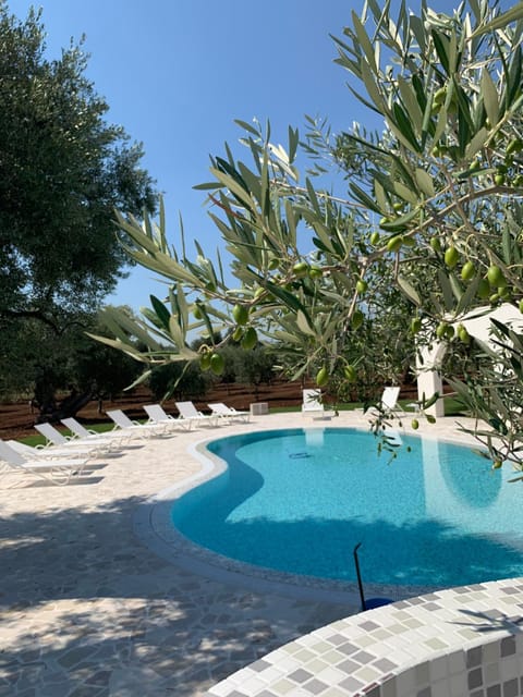 L'Ulivo Bed and Breakfast Pousada com café da manhã (B&B) in Apulia