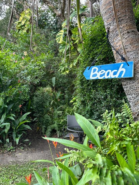 Absolute Beach Front Home -Dogs, Surf, Relax, Bush House in Sunshine Coast