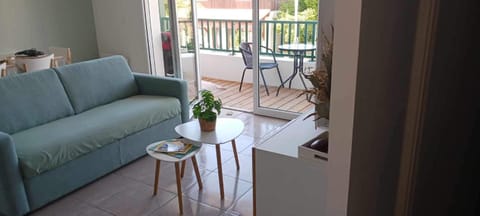 Appartement T2 proche lac Apartment in Sanguinet