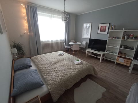 Apartmán Rose Vacation rental in Brno