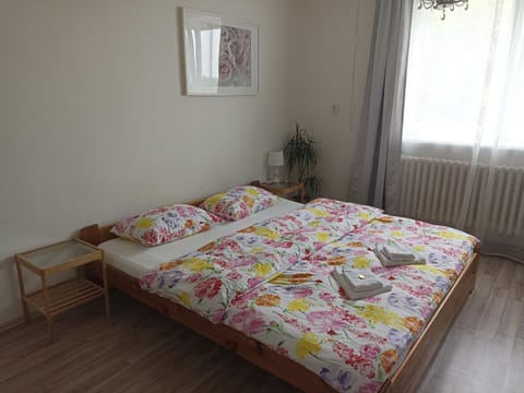 Apartmán Rose Vacation rental in Brno