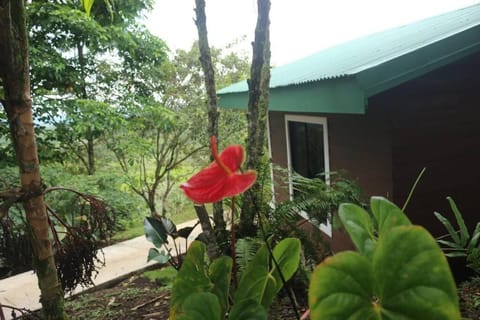 Eco Cabaña House in Bocas del Toro Province