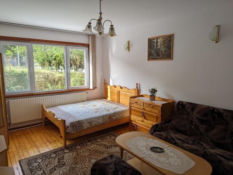 Bed, Living room, Photo of the whole room, Seating area, Bedroom