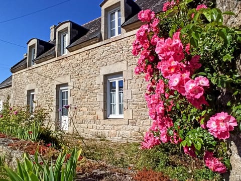 Property building, Spring, Day