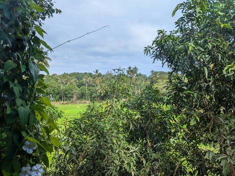 Natural landscape, View (from property/room), Garden view