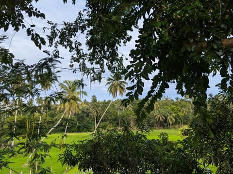 Natural landscape, View (from property/room), Garden view