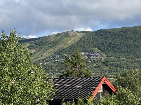 Cottage Yard - cozy Cabin House in Geilo