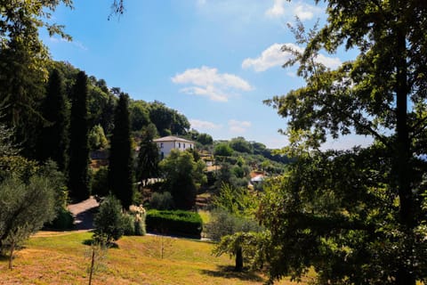Natural landscape, Garden, Garden, Garden view