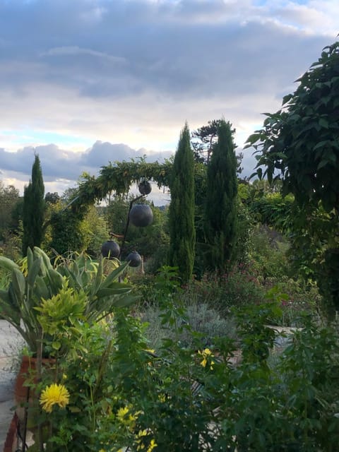 Natural landscape, Garden view