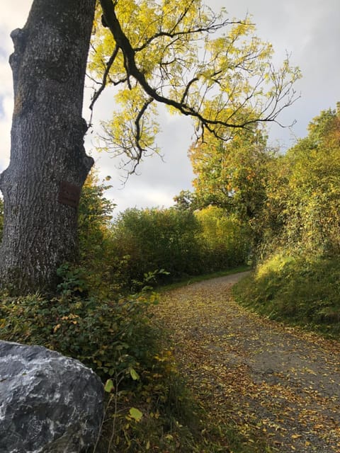 Day, Natural landscape, View (from property/room)