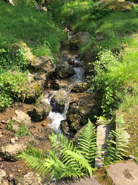 Nearby landmark, Natural landscape, Garden view