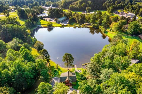 Lakefront Cabin & Cozy Lakeview Cottage House in Mills River