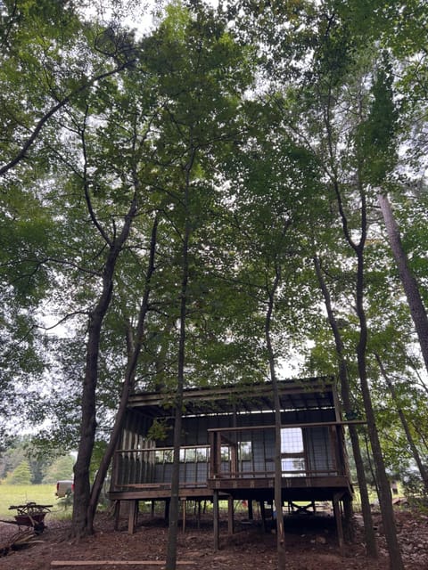 The Happy Place In The Trees Luxury tent in Leesville