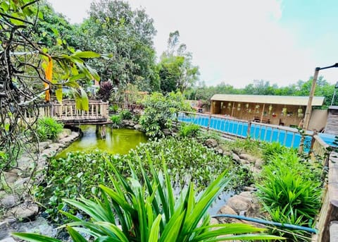 Garden view, Pool view, Swimming pool