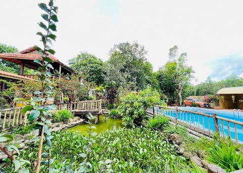 Garden, Garden view, Pool view, Swimming pool