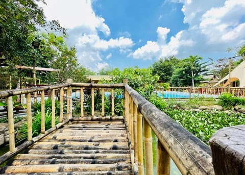 Garden, Garden view, Pool view, Swimming pool