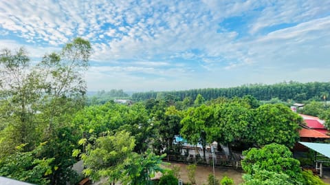 Natural landscape, Bird's eye view