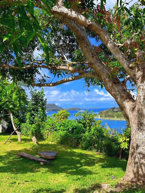 Nearby landmark, Day, Natural landscape, Garden, Lake view