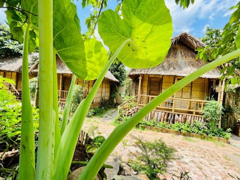 Garden, Garden view