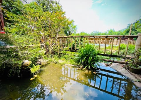 Garden, Garden view, Pool view, Swimming pool