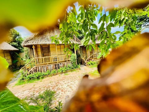 Garden, Garden view