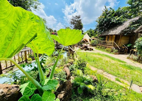 Garden, Garden view