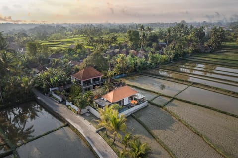 Dijero at Umah Bali Villa in Abiansemal